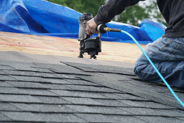 Best Roof Gutter Cleaning  in Monroe, UT